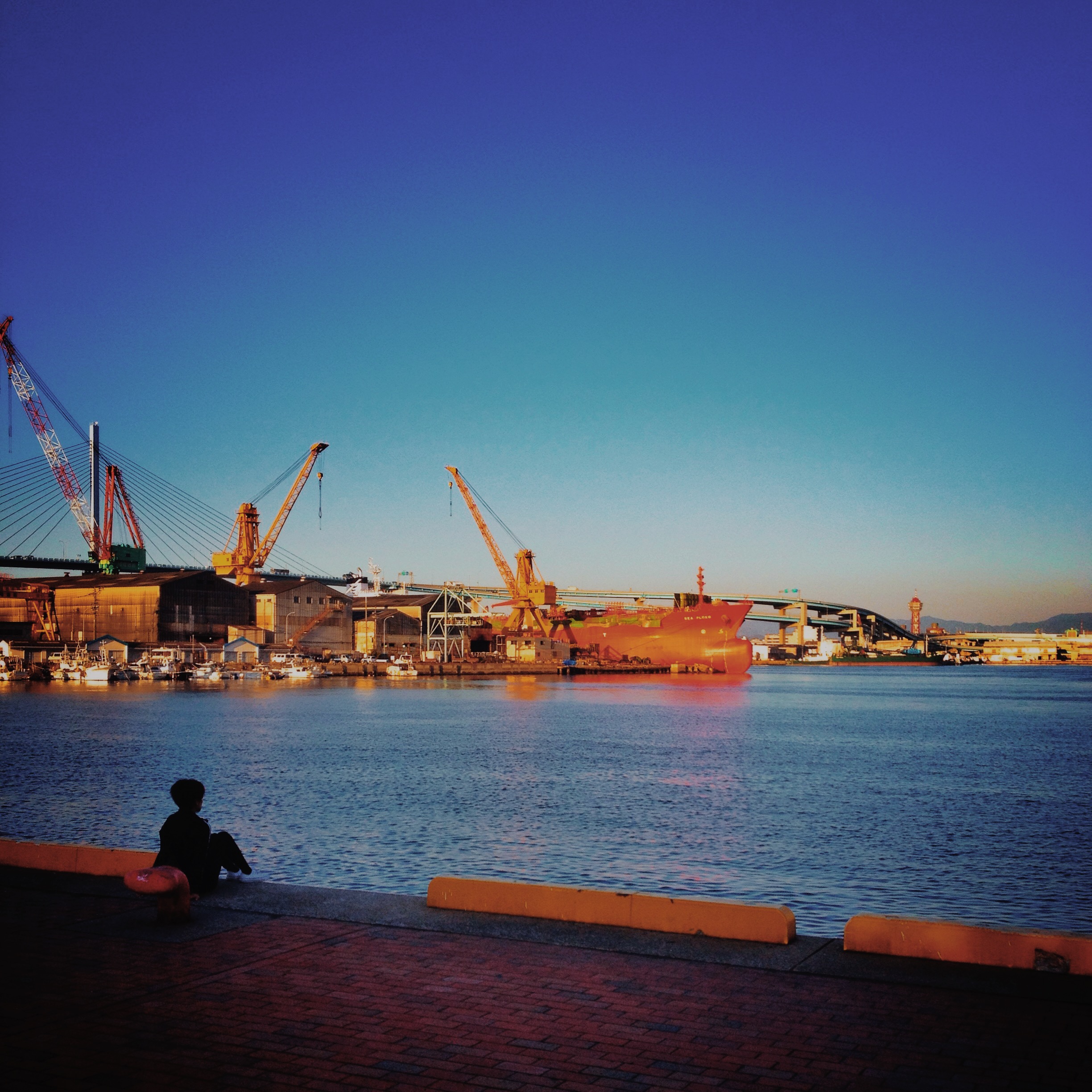 Cobertura en Puertos de México